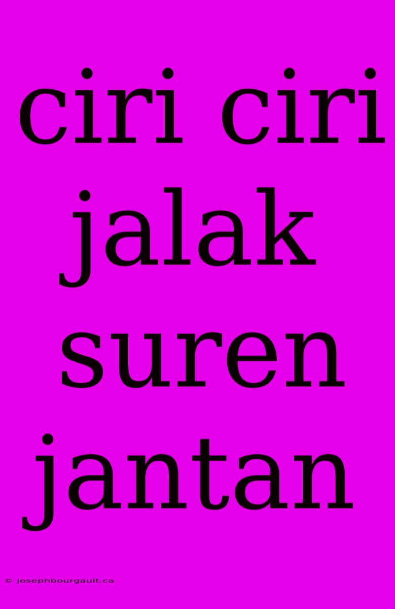 Ciri Ciri Jalak Suren Jantan