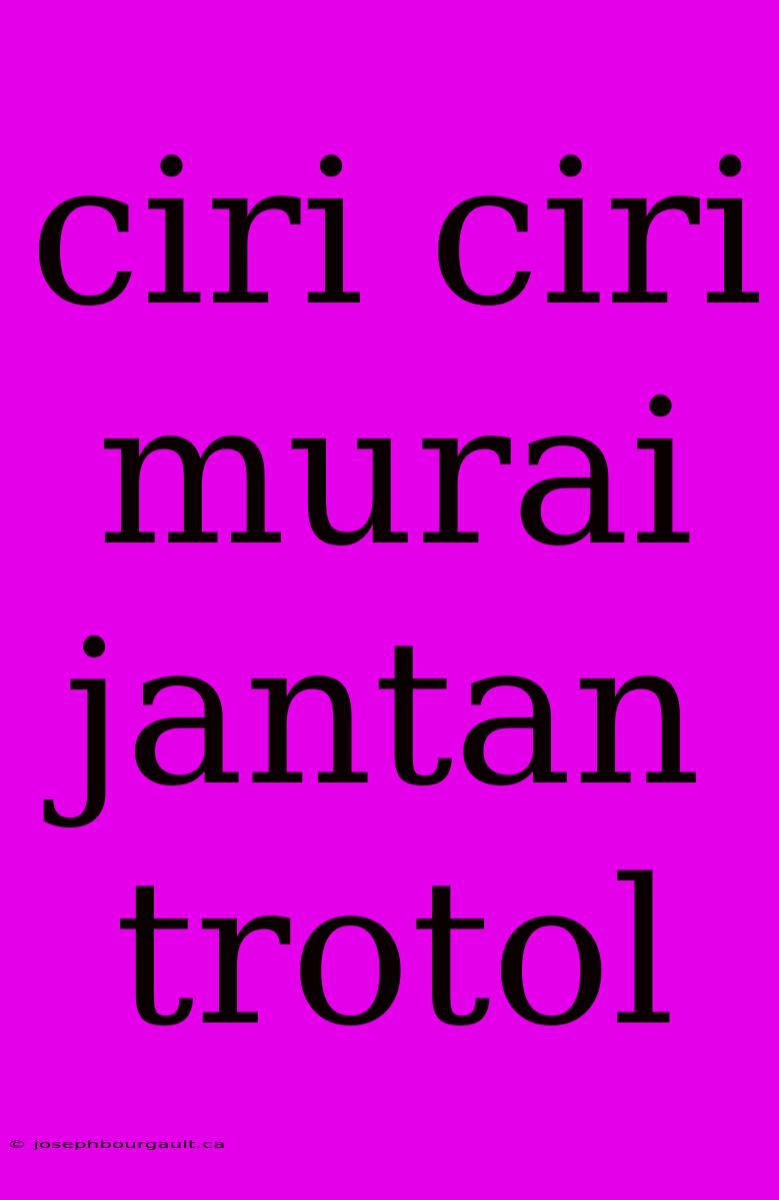 Ciri Ciri Murai Jantan Trotol