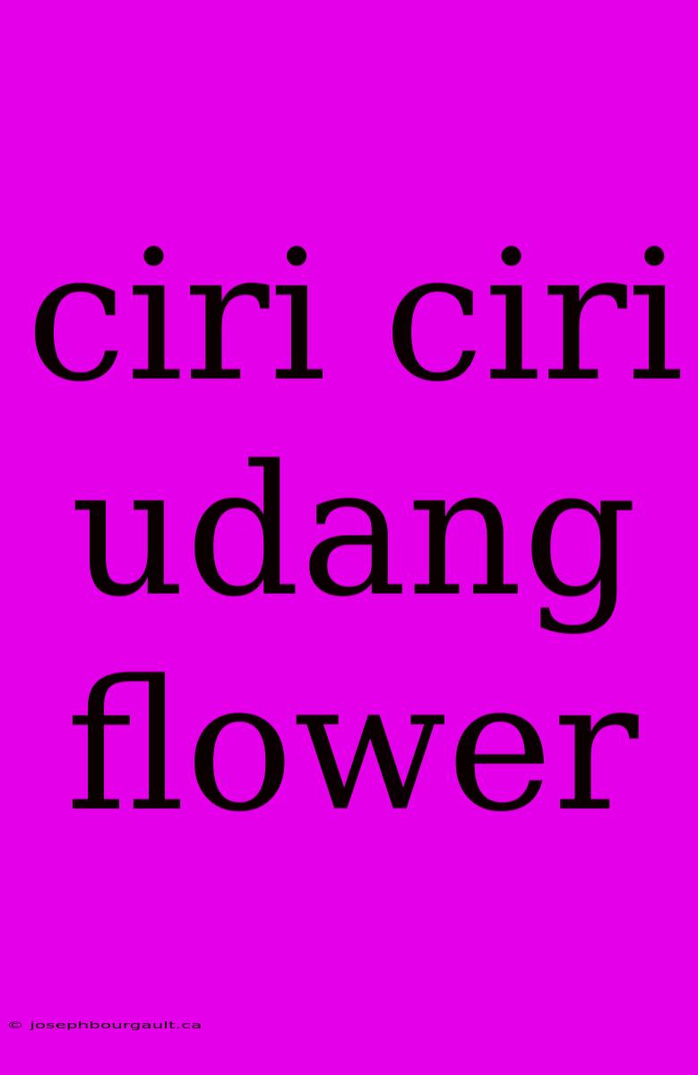 Ciri Ciri Udang Flower