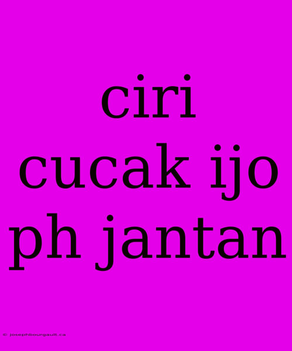 Ciri Cucak Ijo Ph Jantan