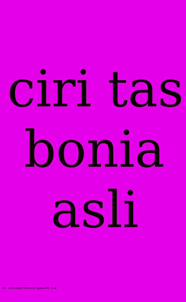 Ciri Tas Bonia Asli