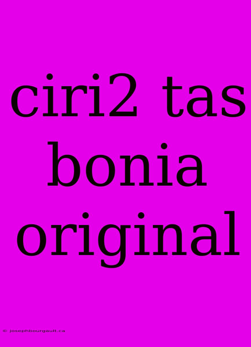 Ciri2 Tas Bonia Original