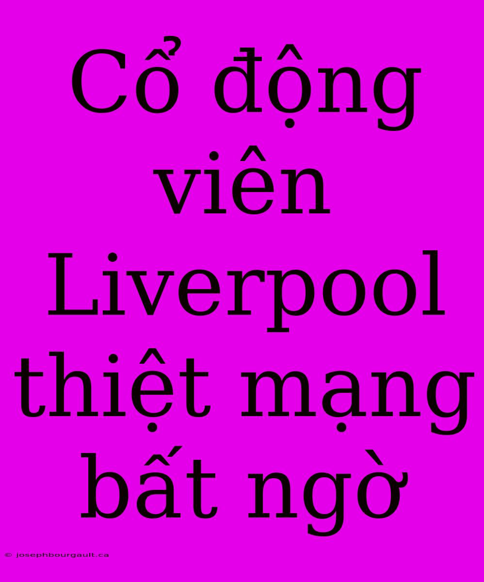 Cổ Động Viên Liverpool Thiệt Mạng Bất Ngờ