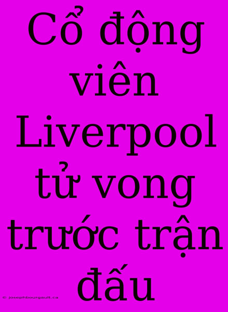 Cổ Động Viên Liverpool Tử Vong Trước Trận Đấu