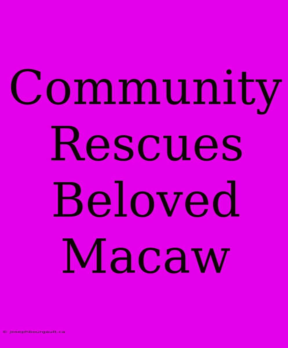 Community Rescues Beloved Macaw