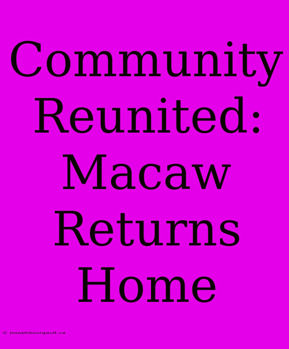 Community Reunited: Macaw Returns Home