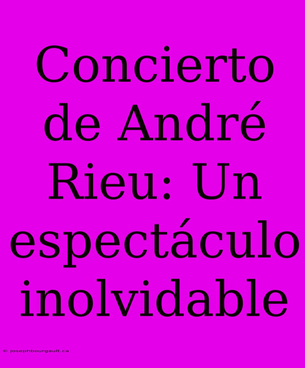 Concierto De André Rieu: Un Espectáculo Inolvidable