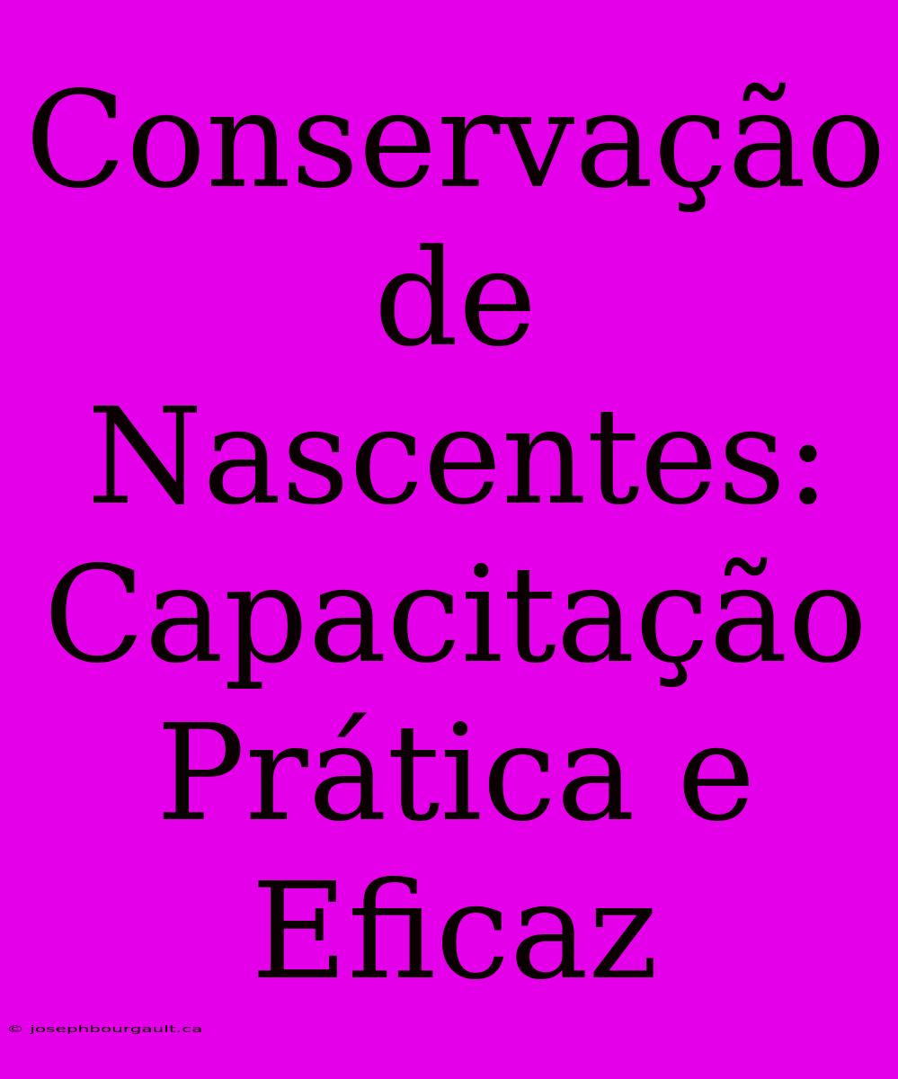 Conservação De Nascentes: Capacitação Prática E Eficaz