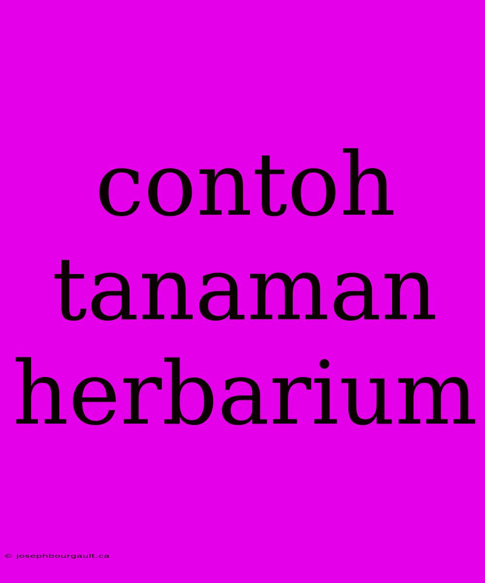 Contoh Tanaman Herbarium