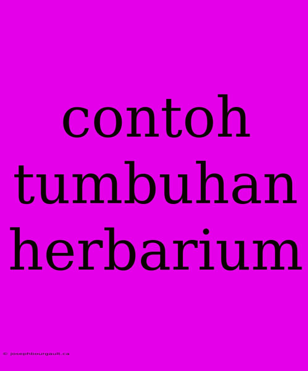 Contoh Tumbuhan Herbarium