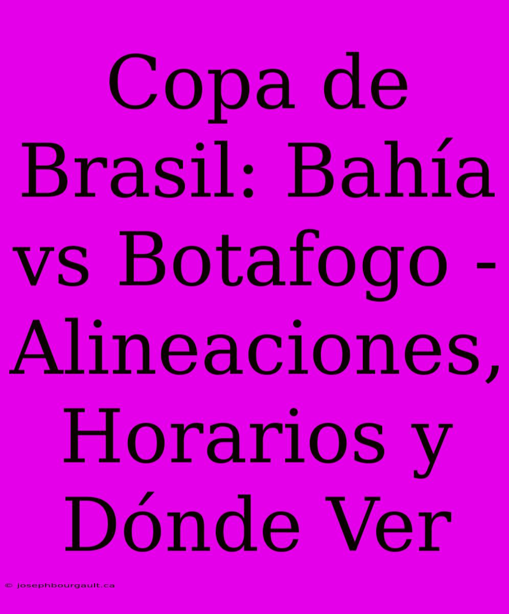 Copa De Brasil: Bahía Vs Botafogo - Alineaciones, Horarios Y Dónde Ver