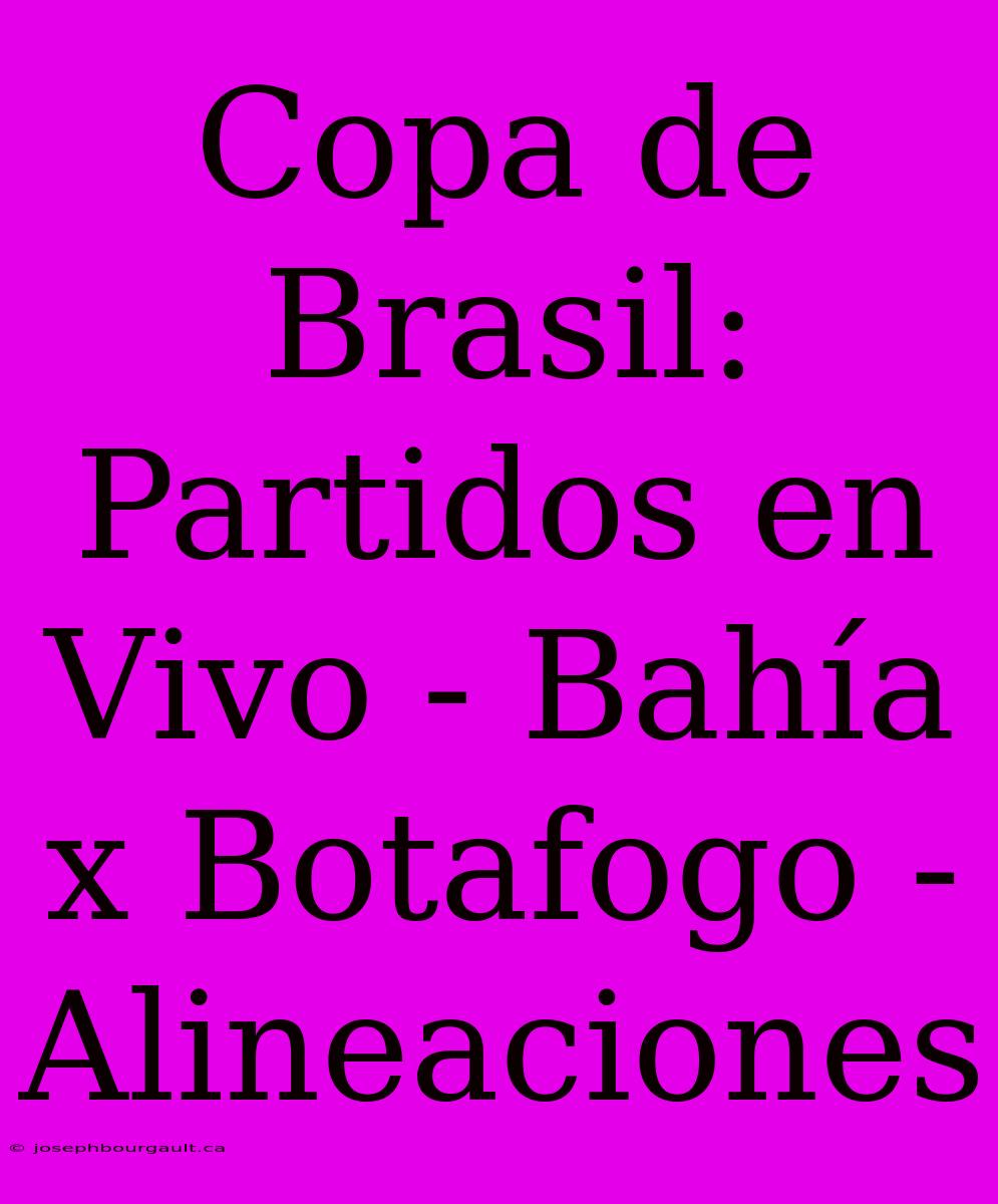 Copa De Brasil: Partidos En Vivo - Bahía X Botafogo - Alineaciones