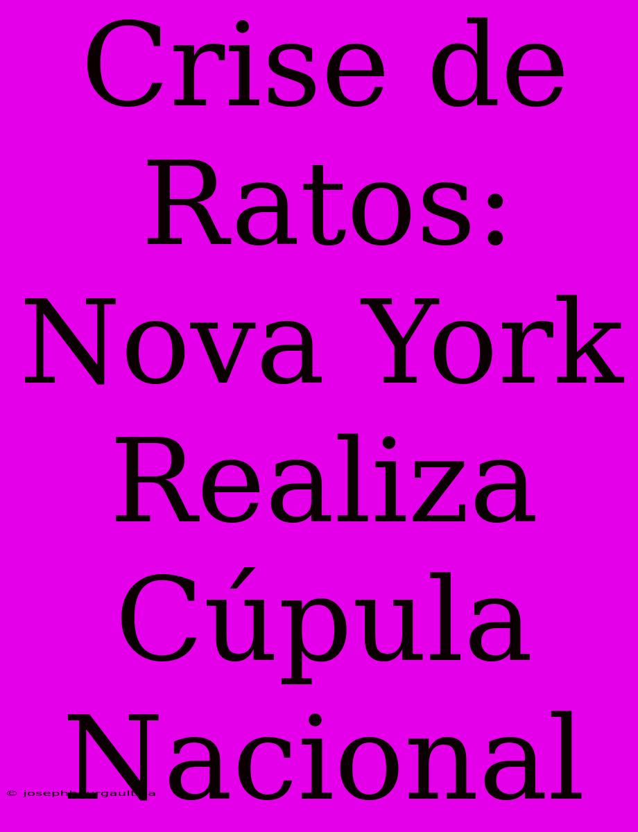 Crise De Ratos: Nova York Realiza Cúpula Nacional