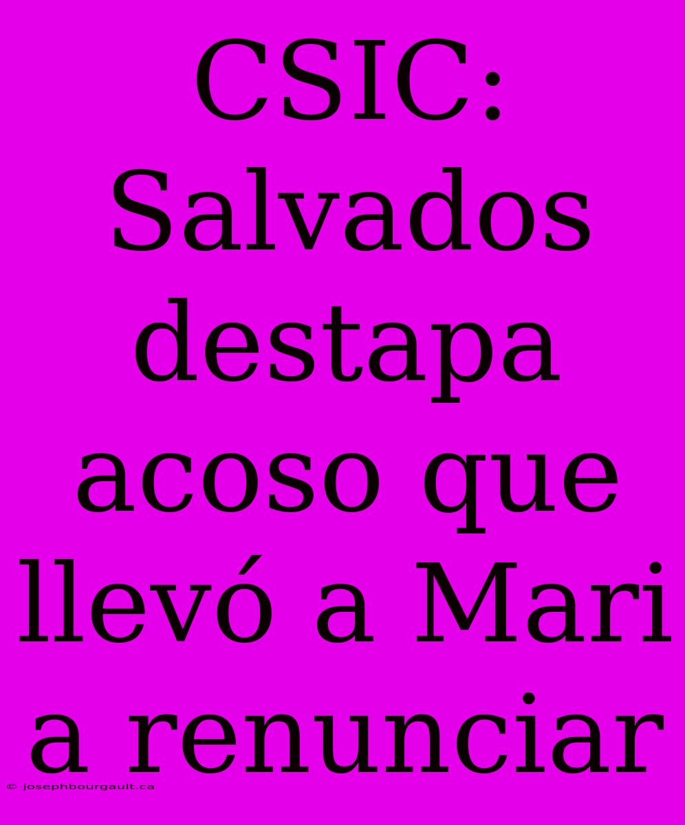 CSIC: Salvados Destapa Acoso Que Llevó A Mari A Renunciar