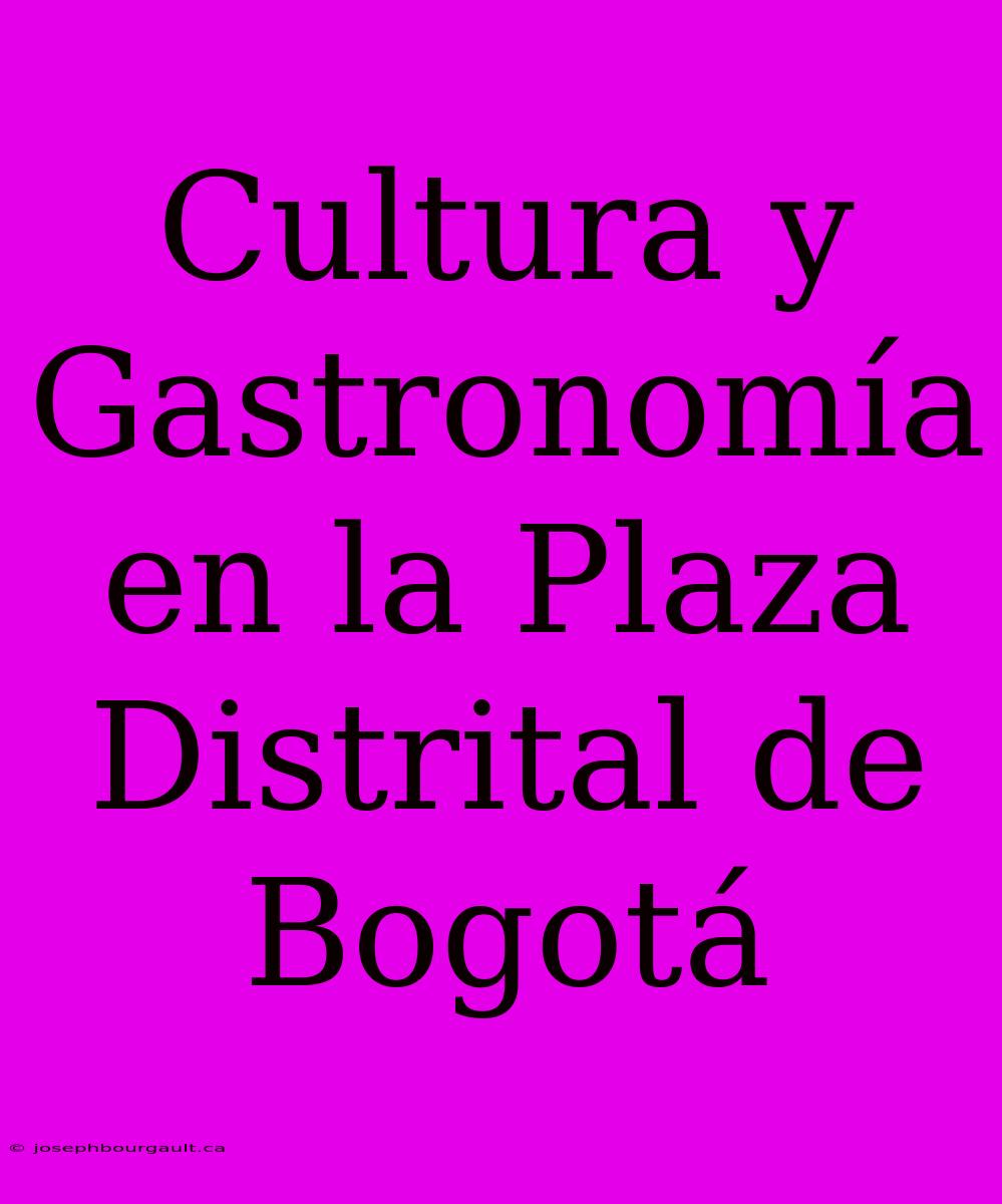 Cultura Y Gastronomía En La Plaza Distrital De Bogotá