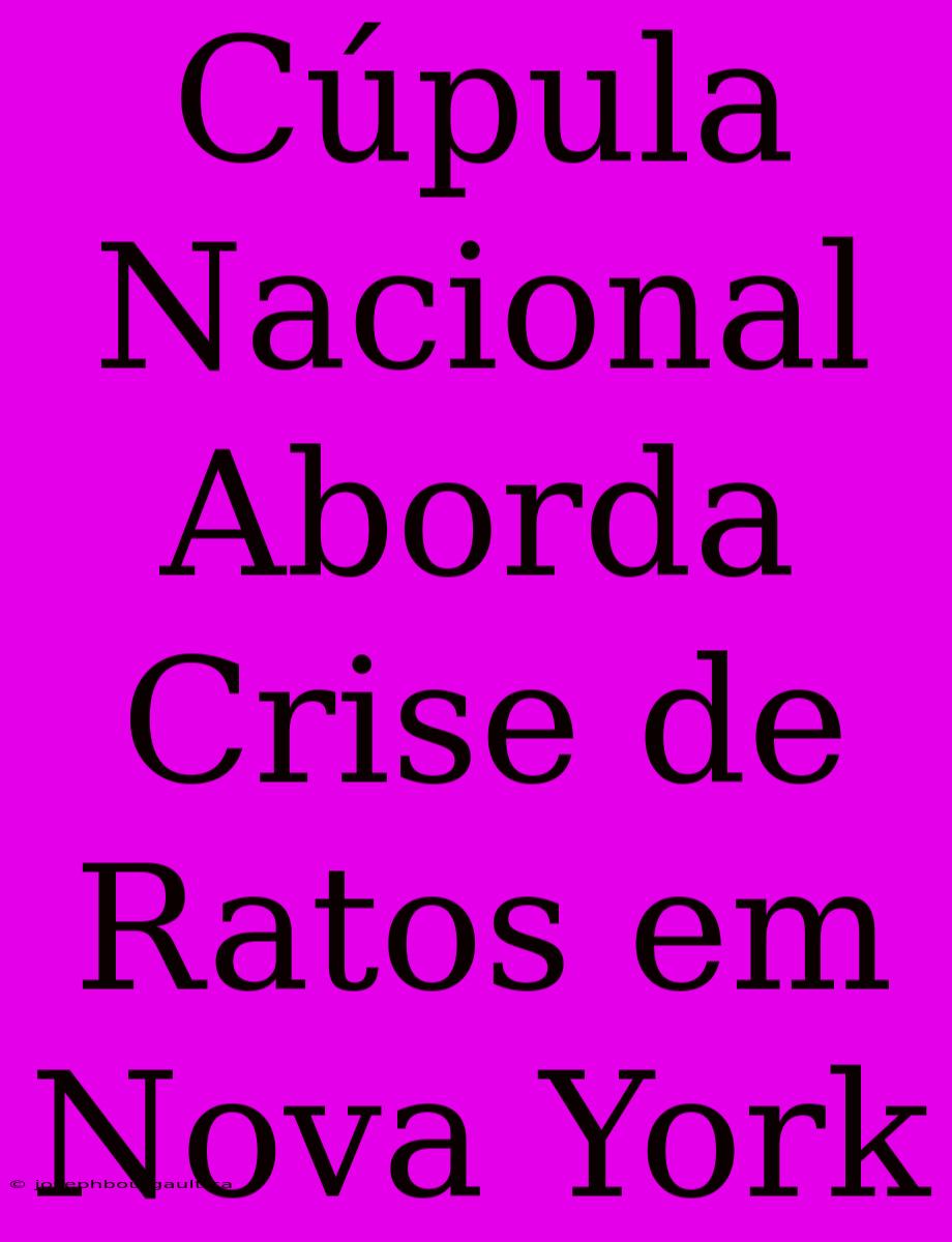 Cúpula Nacional Aborda Crise De Ratos Em Nova York