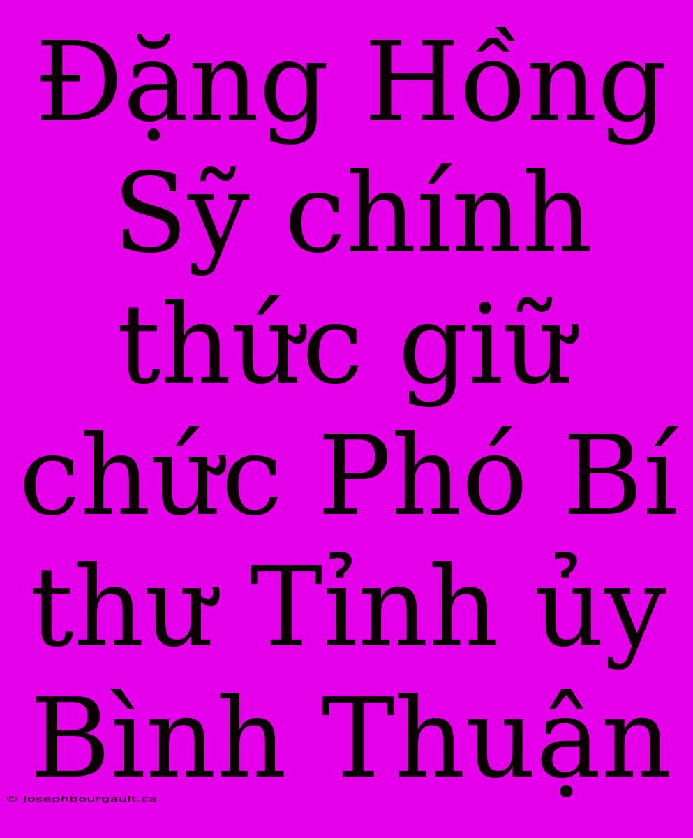 Đặng Hồng Sỹ Chính Thức Giữ Chức Phó Bí Thư Tỉnh Ủy Bình Thuận