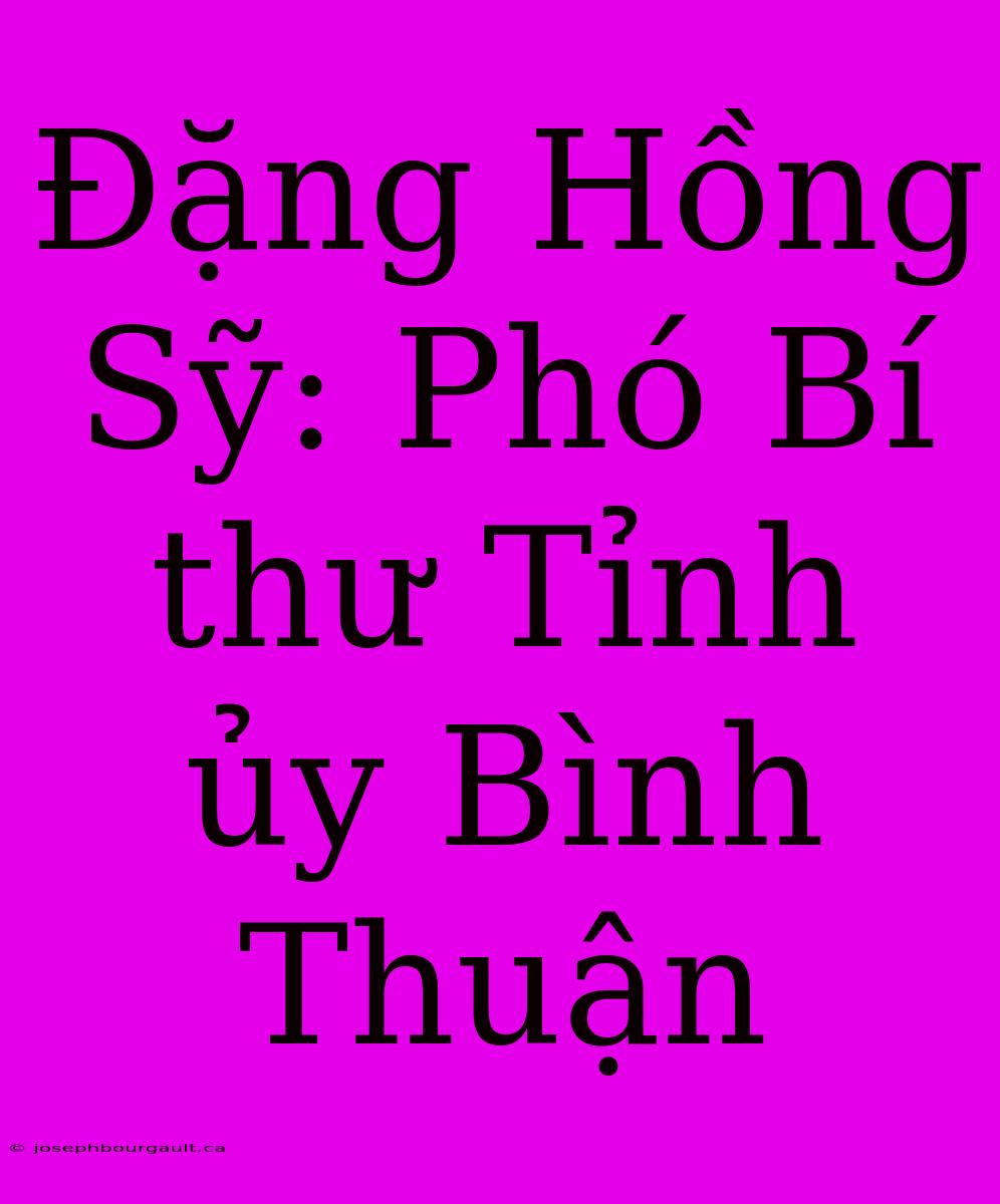 Đặng Hồng Sỹ: Phó Bí Thư Tỉnh Ủy Bình Thuận