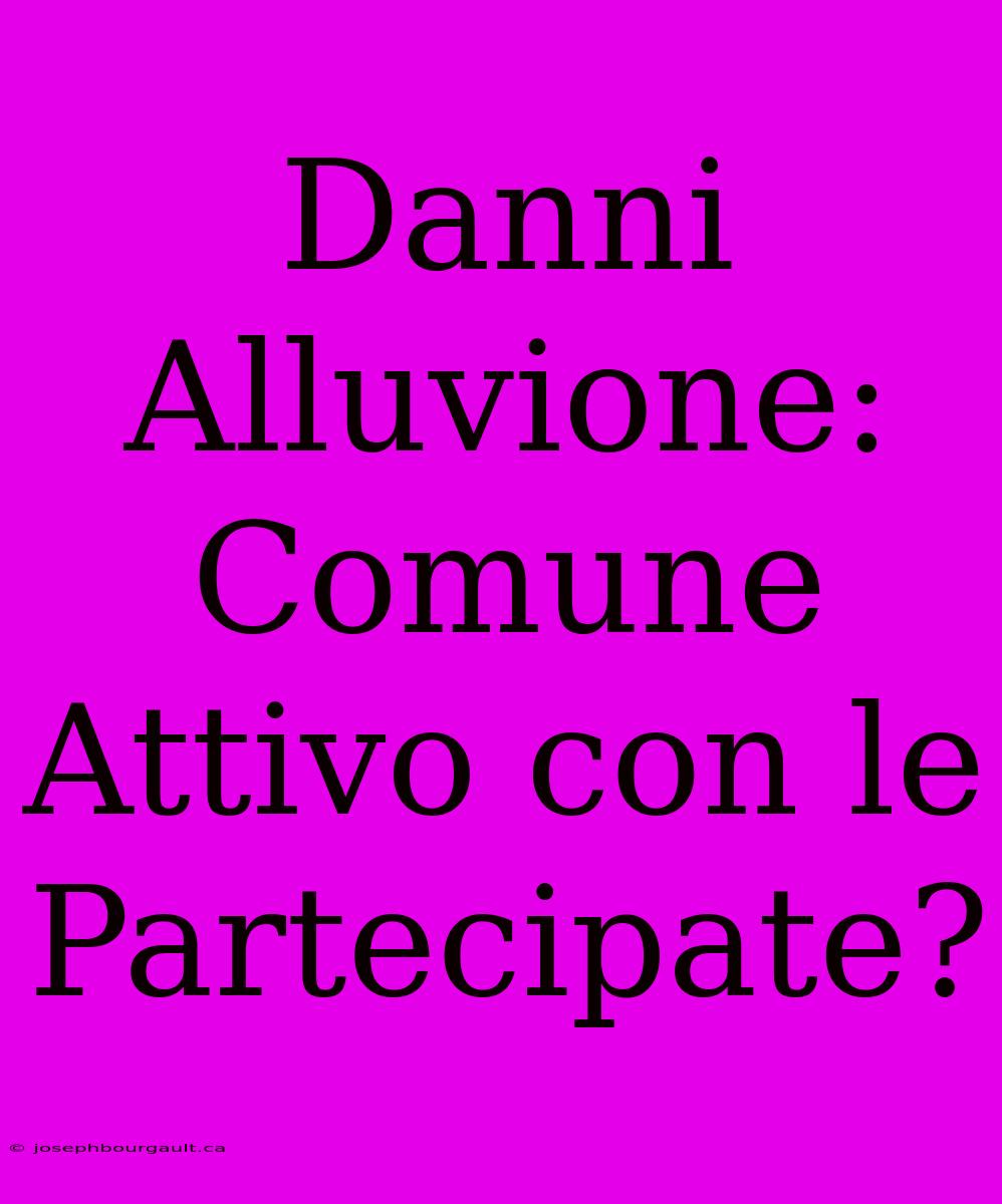 Danni Alluvione: Comune Attivo Con Le Partecipate?