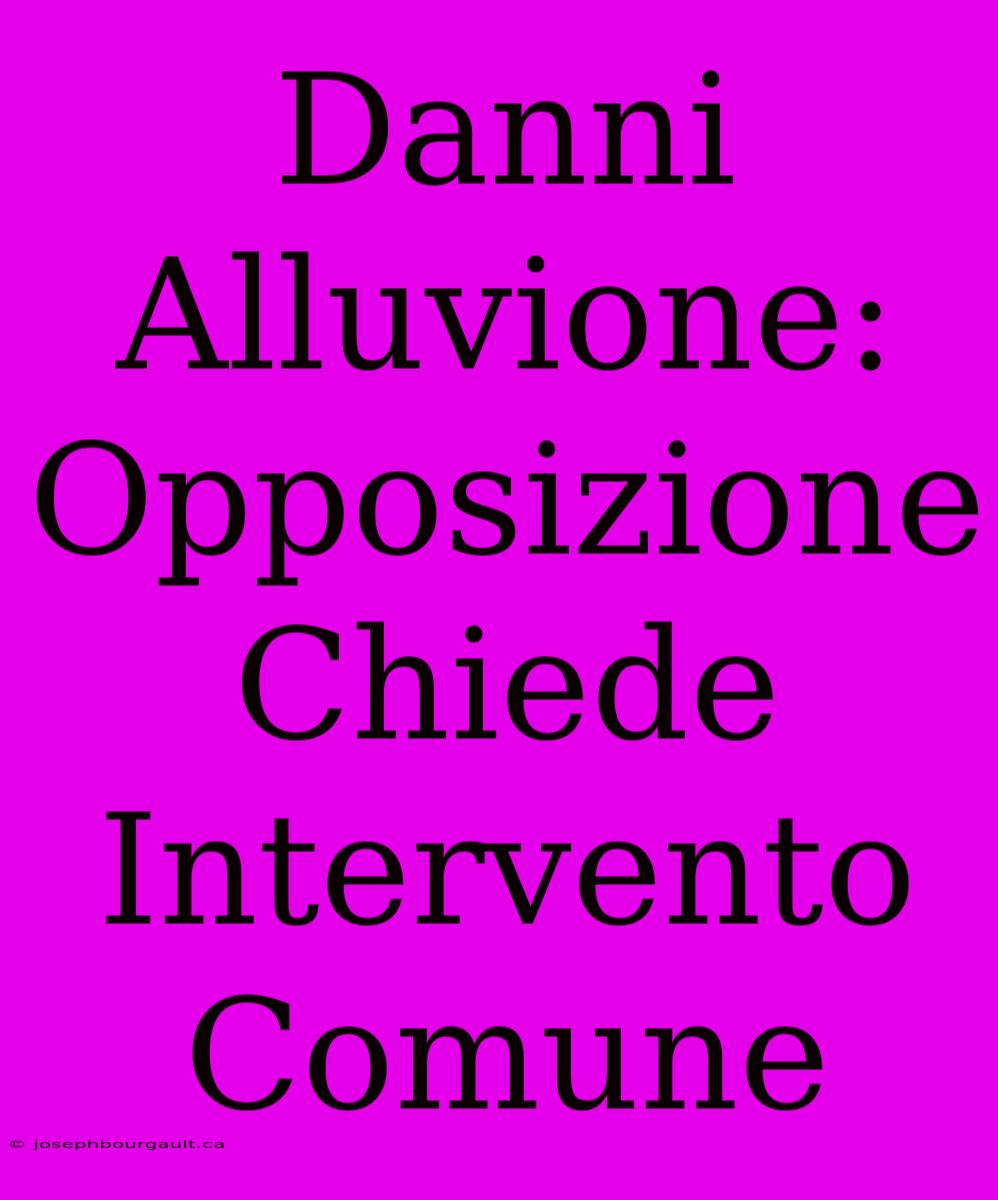 Danni Alluvione: Opposizione Chiede Intervento Comune