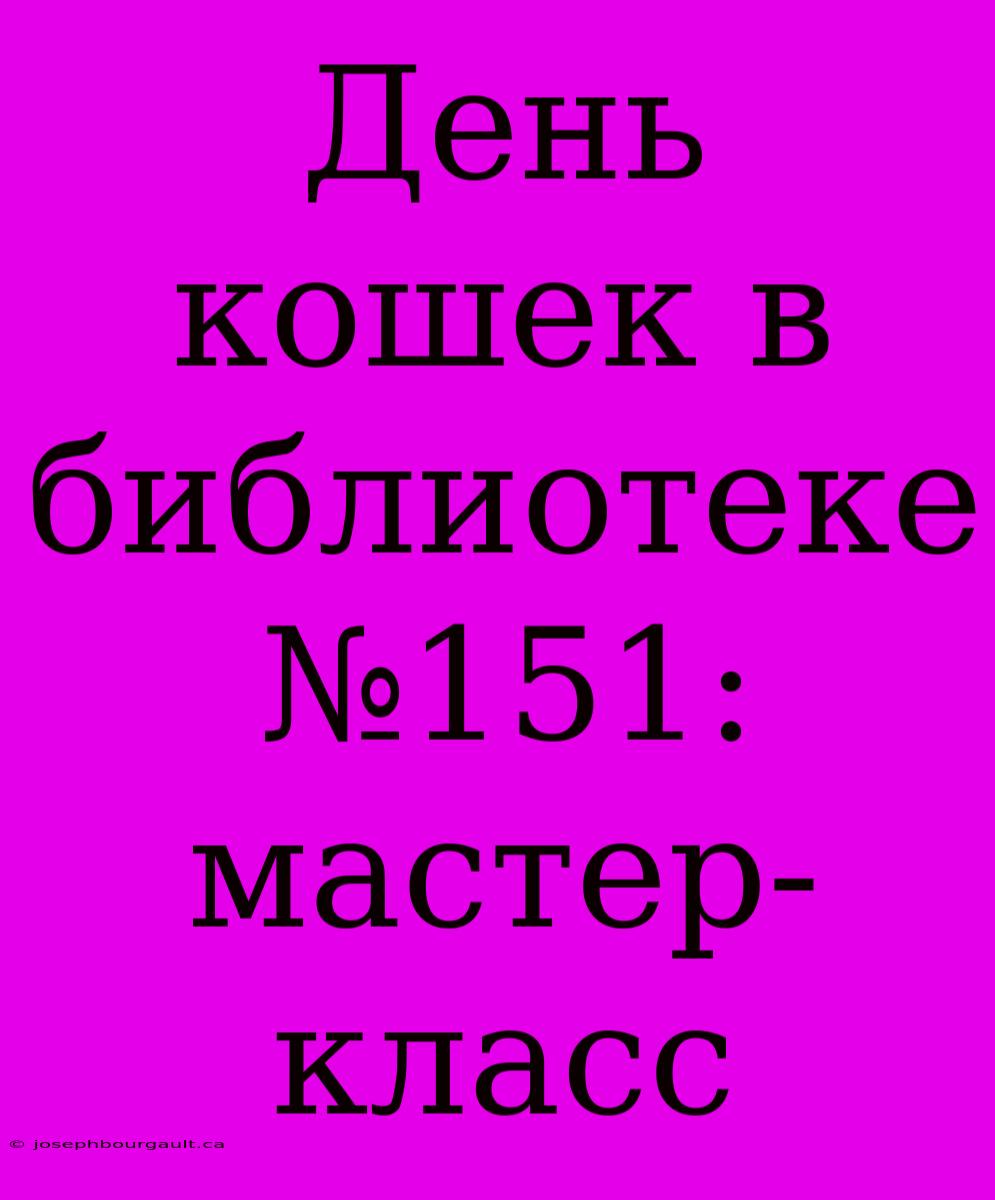 День Кошек В Библиотеке №151: Мастер-класс