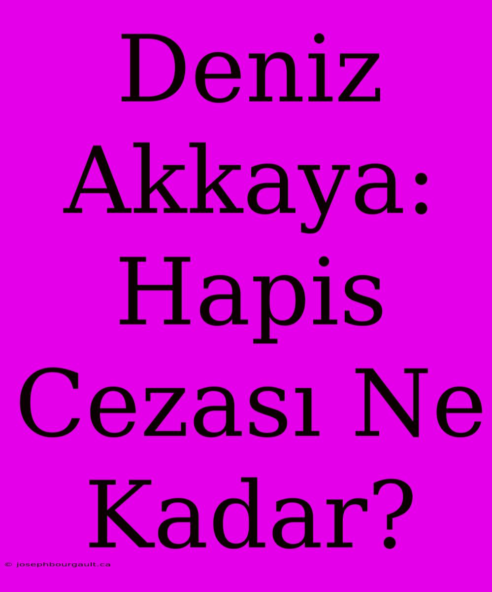 Deniz Akkaya: Hapis Cezası Ne Kadar?