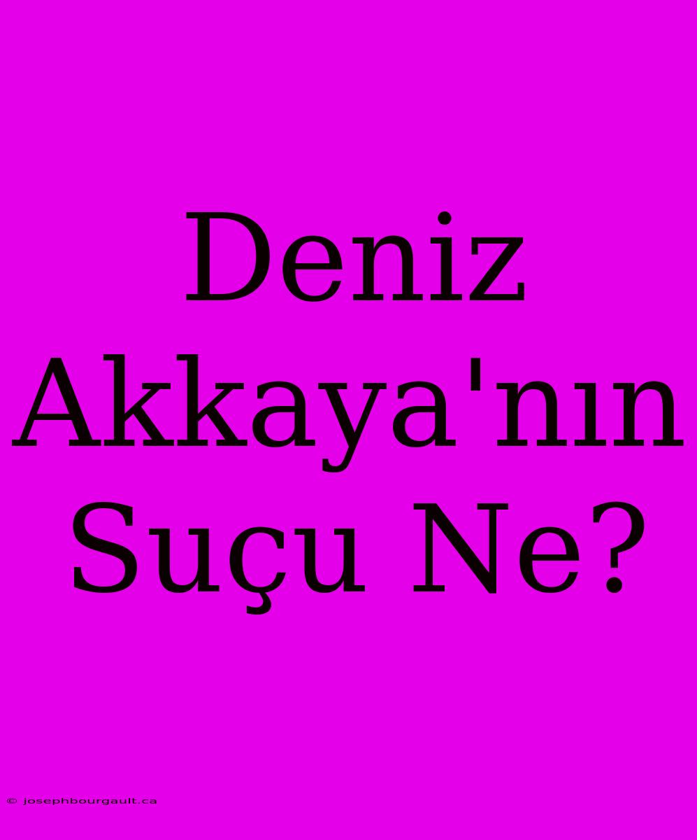 Deniz Akkaya'nın Suçu Ne?