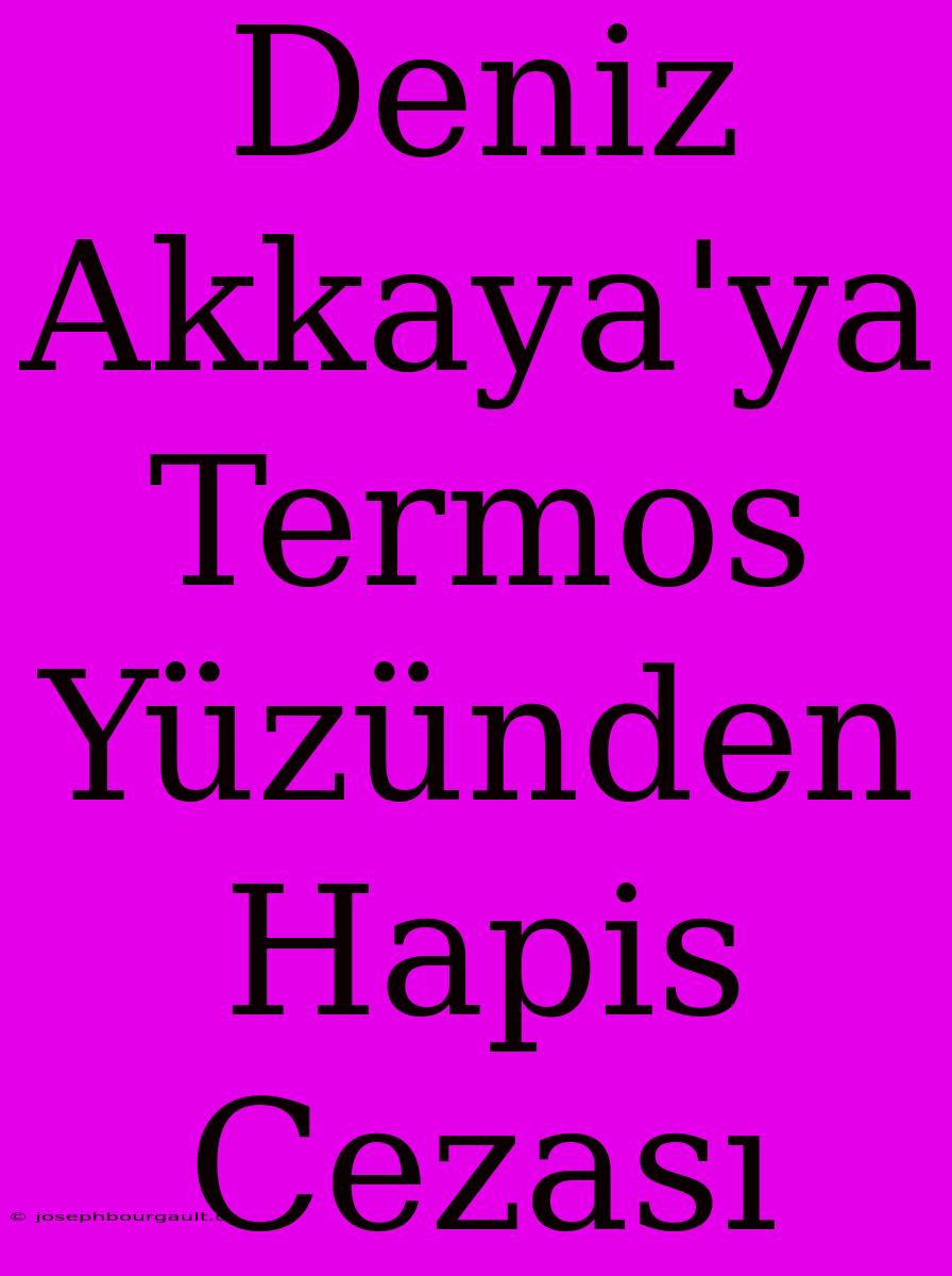 Deniz Akkaya'ya Termos Yüzünden Hapis Cezası