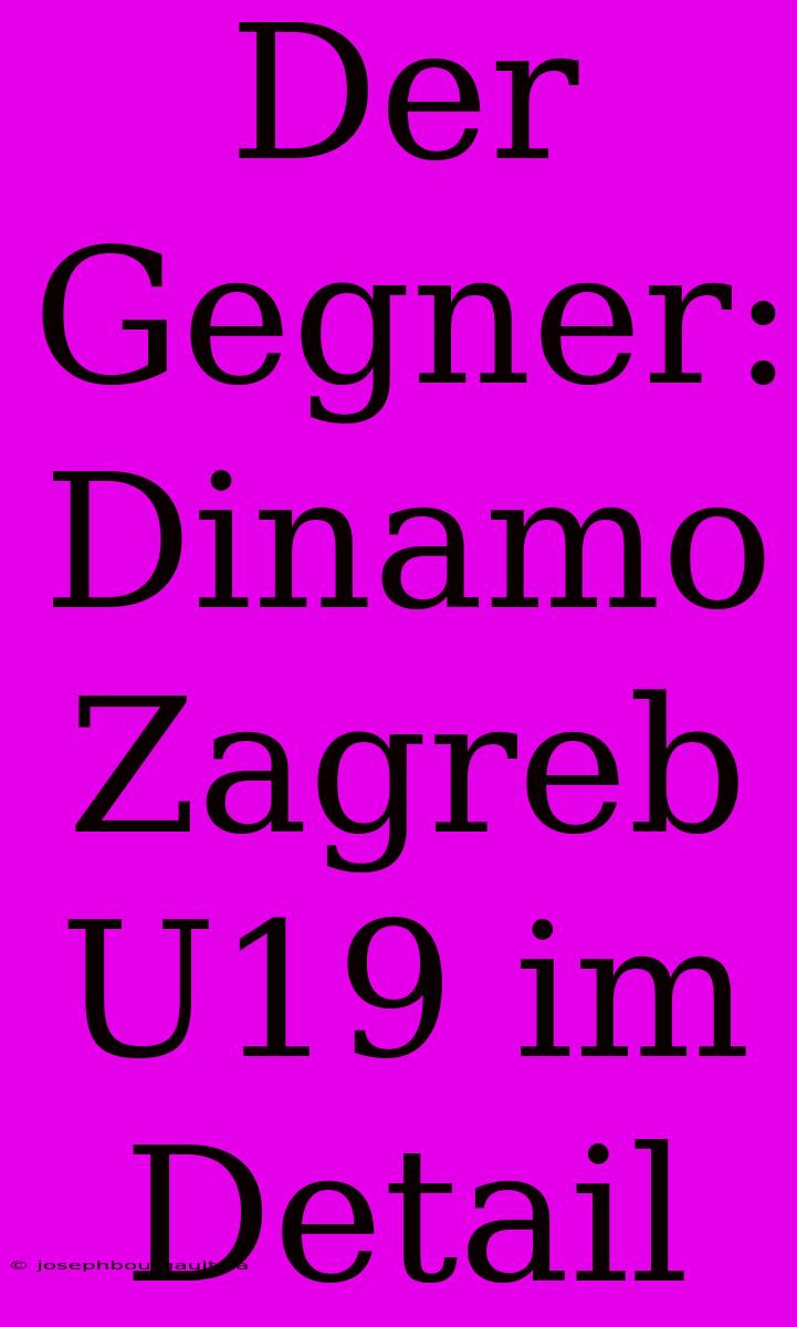 Der Gegner: Dinamo Zagreb U19 Im Detail