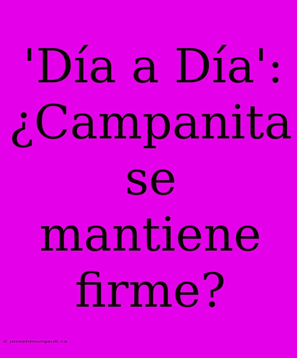 'Día A Día': ¿Campanita Se Mantiene Firme?