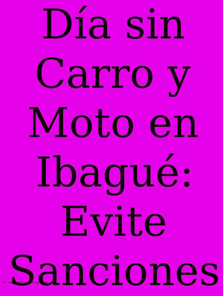 Día Sin Carro Y Moto En Ibagué: Evite Sanciones