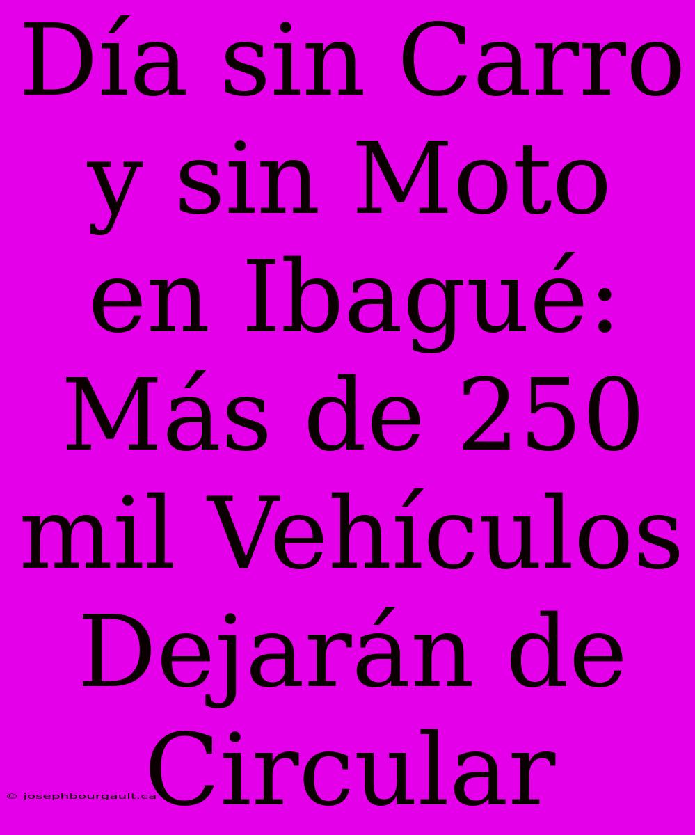 Día Sin Carro Y Sin Moto En Ibagué: Más De 250 Mil Vehículos Dejarán De Circular