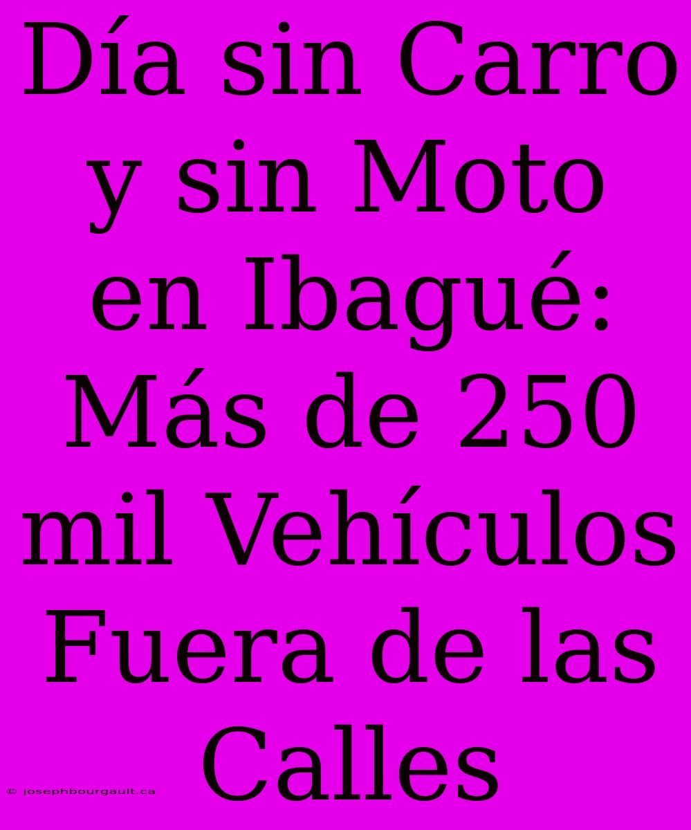 Día Sin Carro Y Sin Moto En Ibagué: Más De 250 Mil Vehículos Fuera De Las Calles