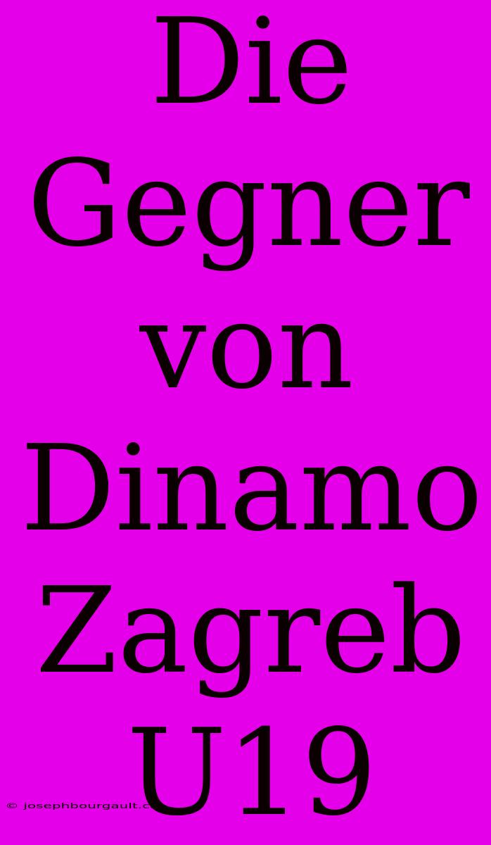 Die Gegner Von Dinamo Zagreb U19