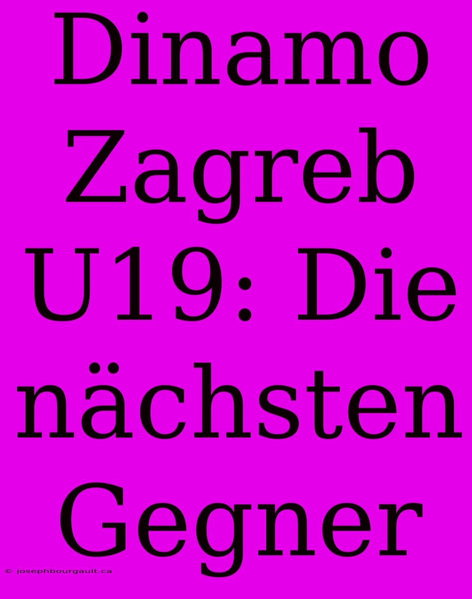 Dinamo Zagreb U19: Die Nächsten Gegner