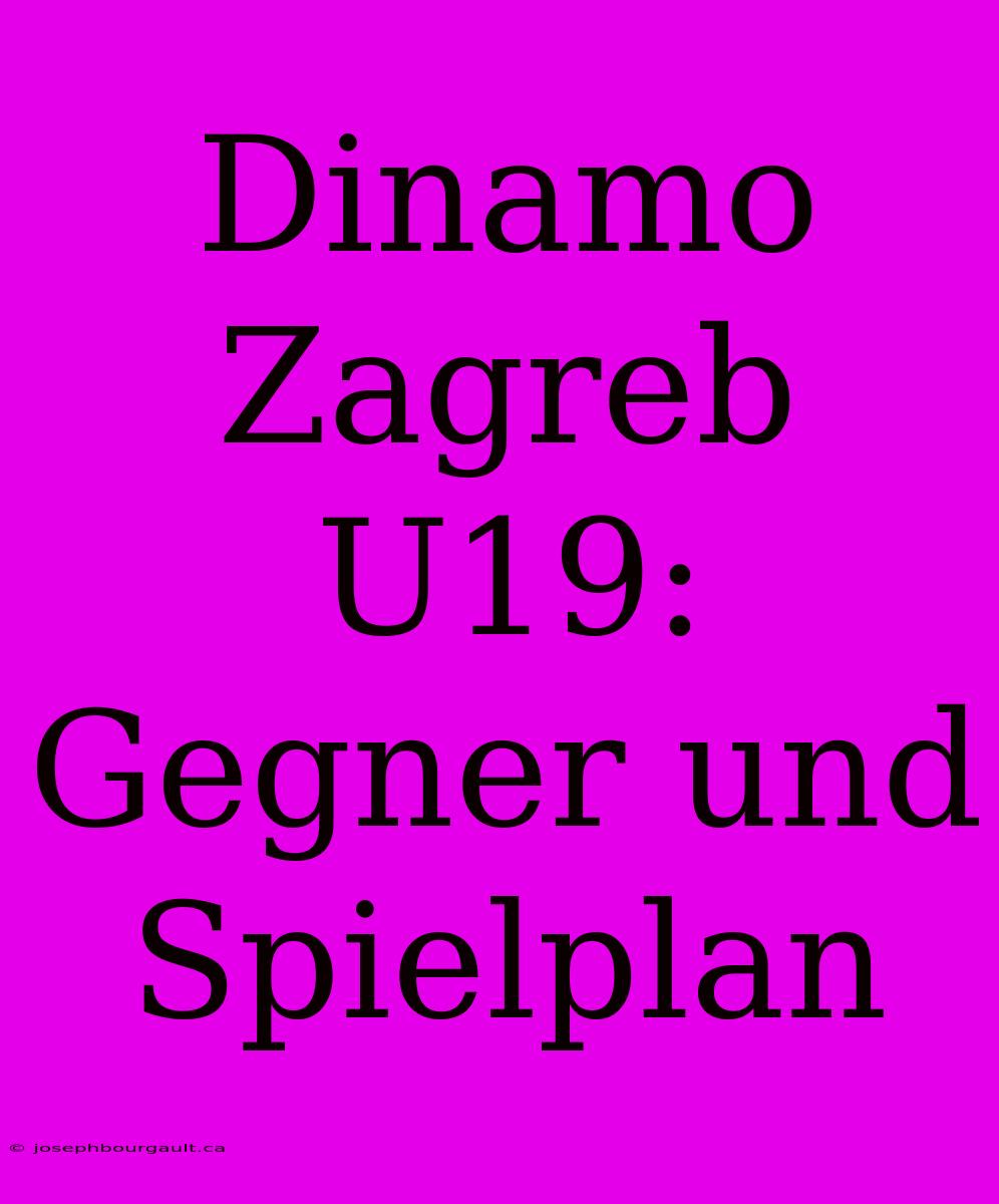 Dinamo Zagreb U19: Gegner Und Spielplan