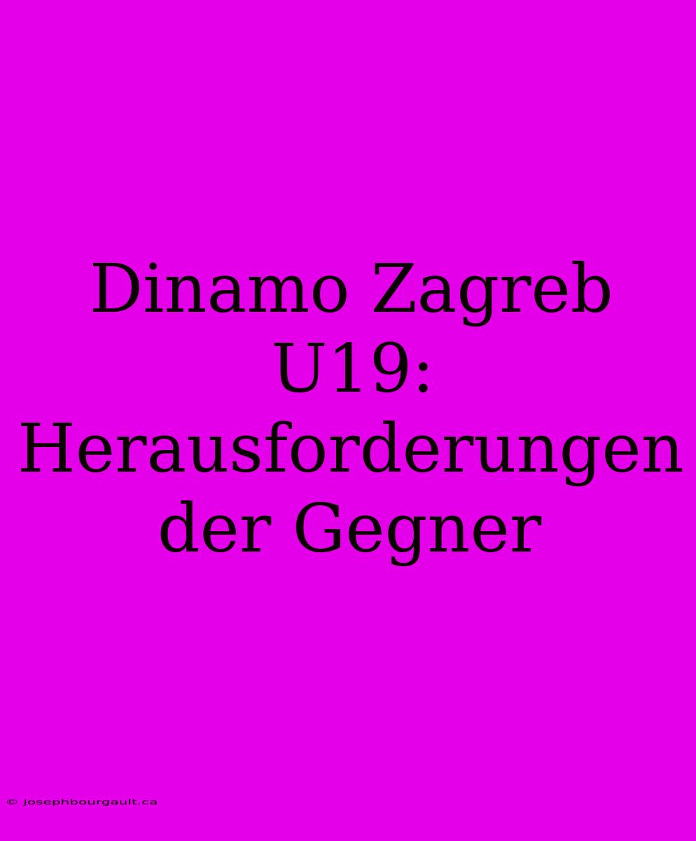 Dinamo Zagreb U19: Herausforderungen Der Gegner