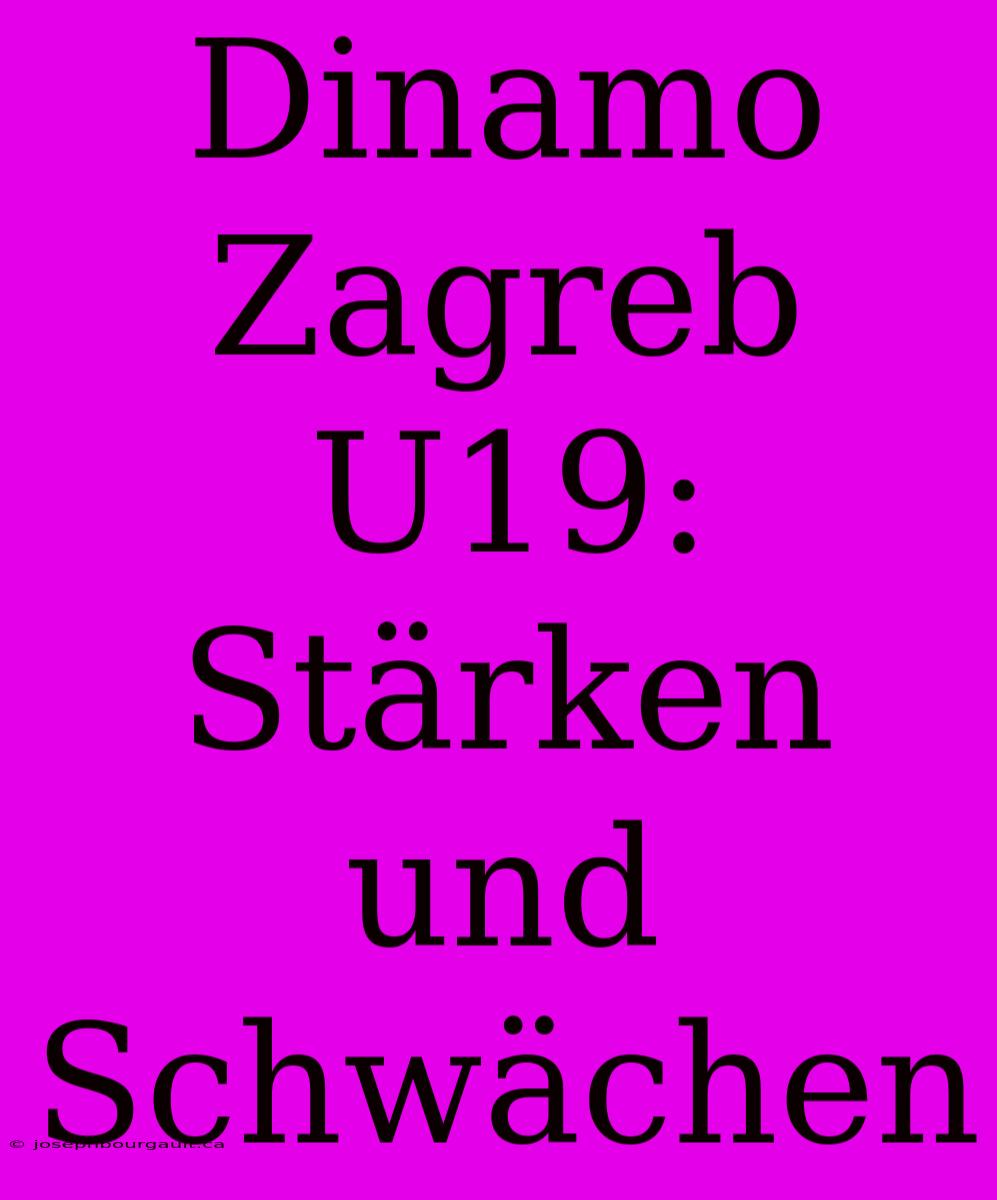 Dinamo Zagreb U19: Stärken Und Schwächen