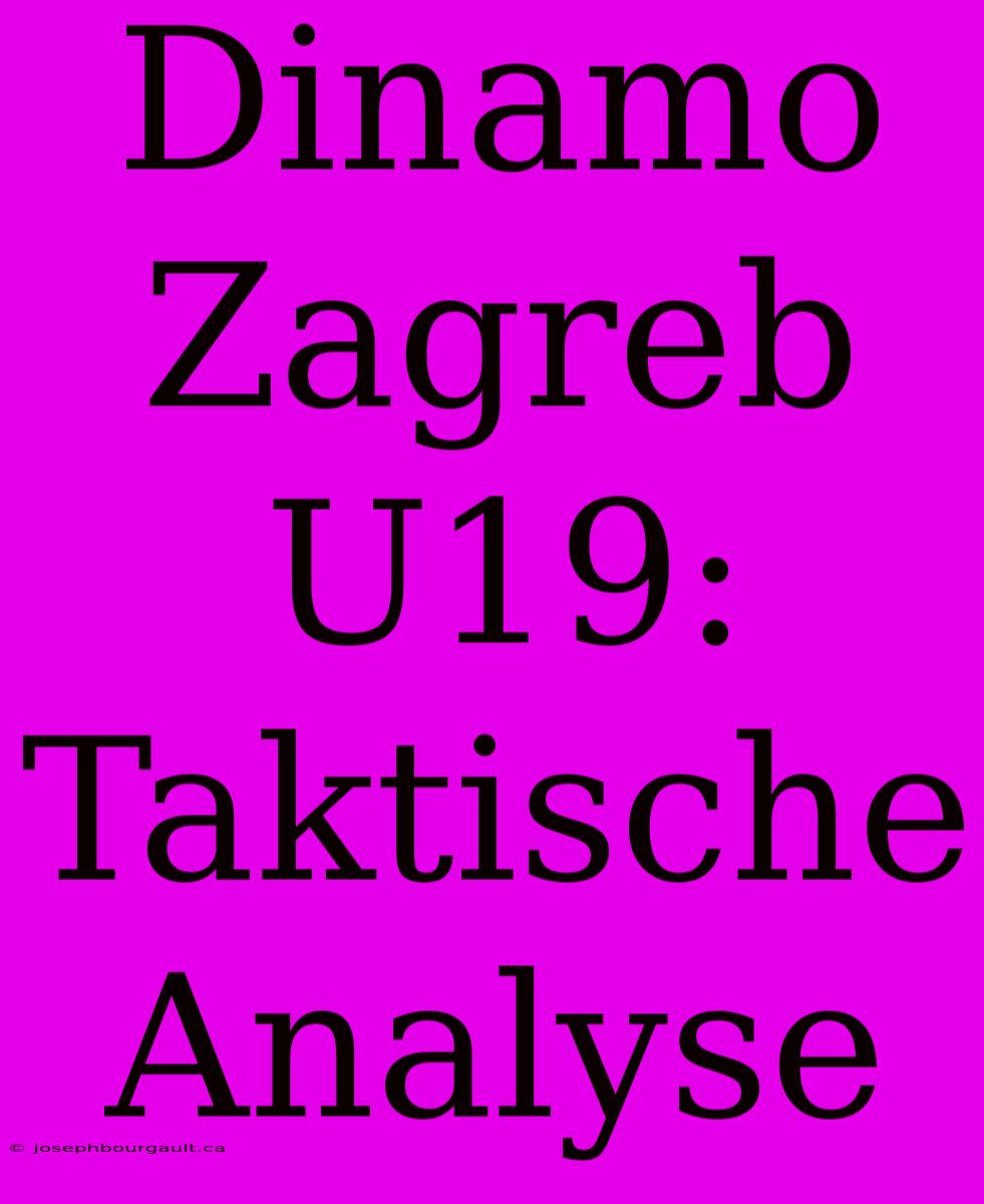 Dinamo Zagreb U19: Taktische Analyse