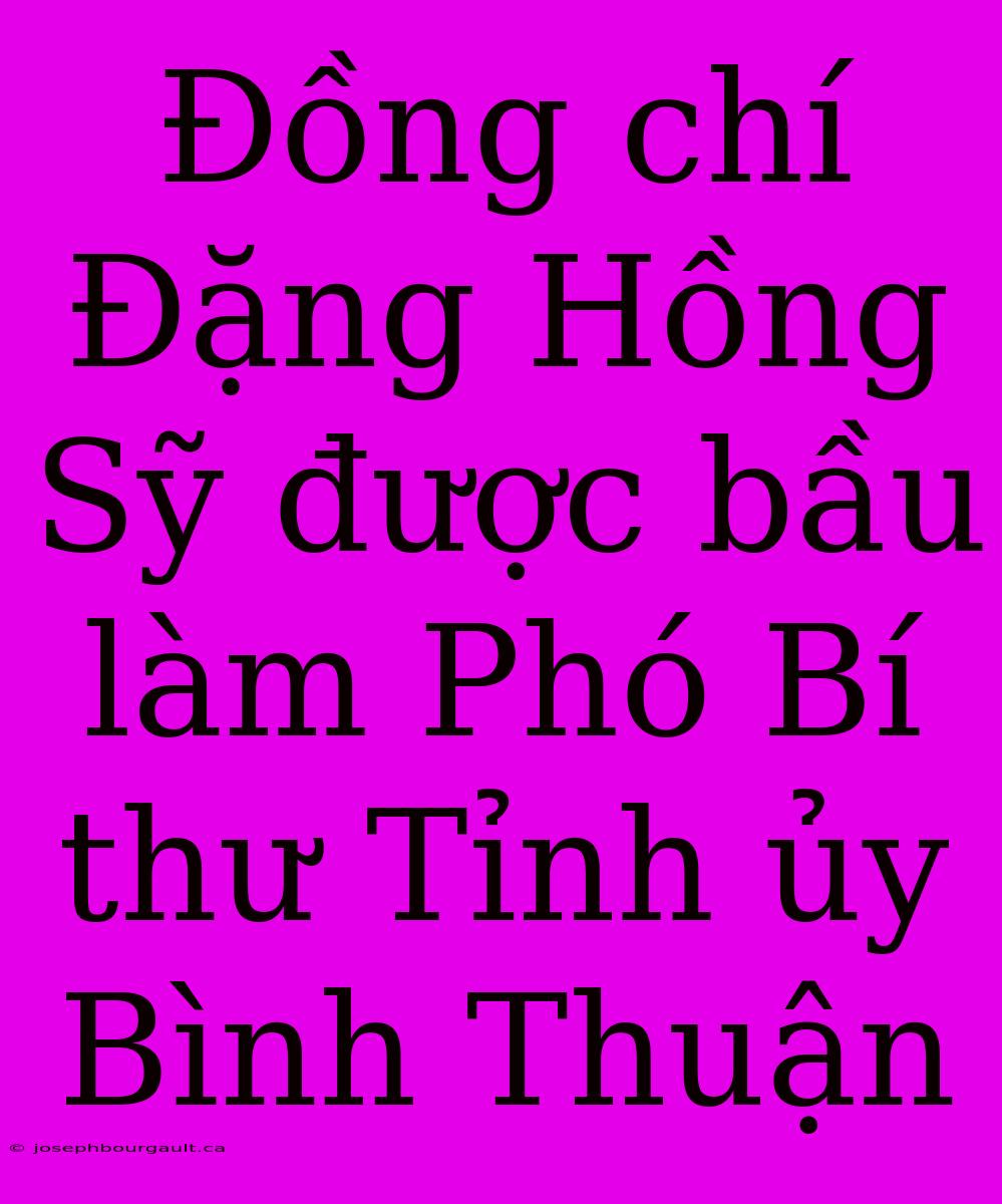 Đồng Chí Đặng Hồng Sỹ Được Bầu Làm Phó Bí Thư Tỉnh Ủy Bình Thuận