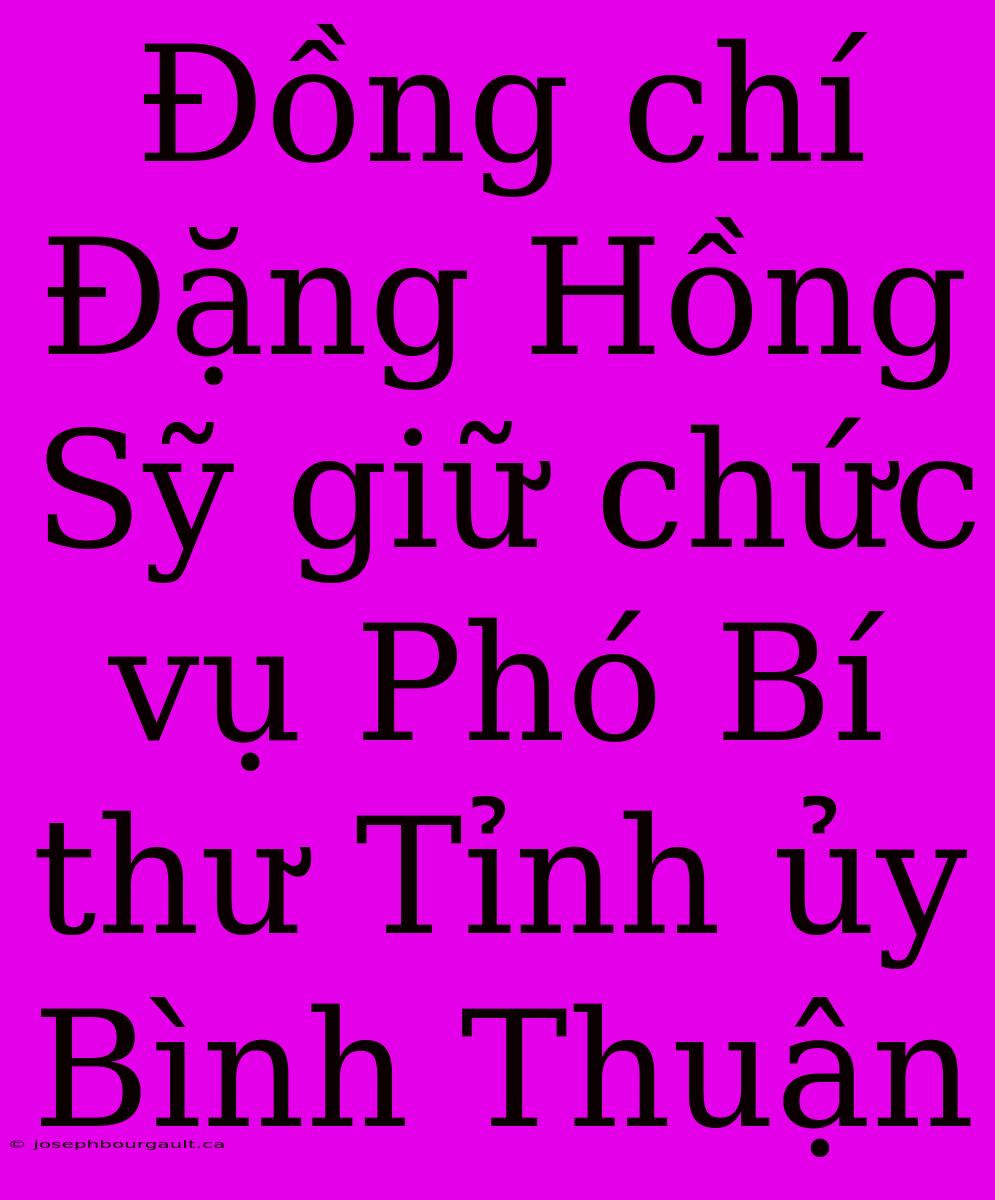 Đồng Chí Đặng Hồng Sỹ Giữ Chức Vụ Phó Bí Thư Tỉnh Ủy Bình Thuận