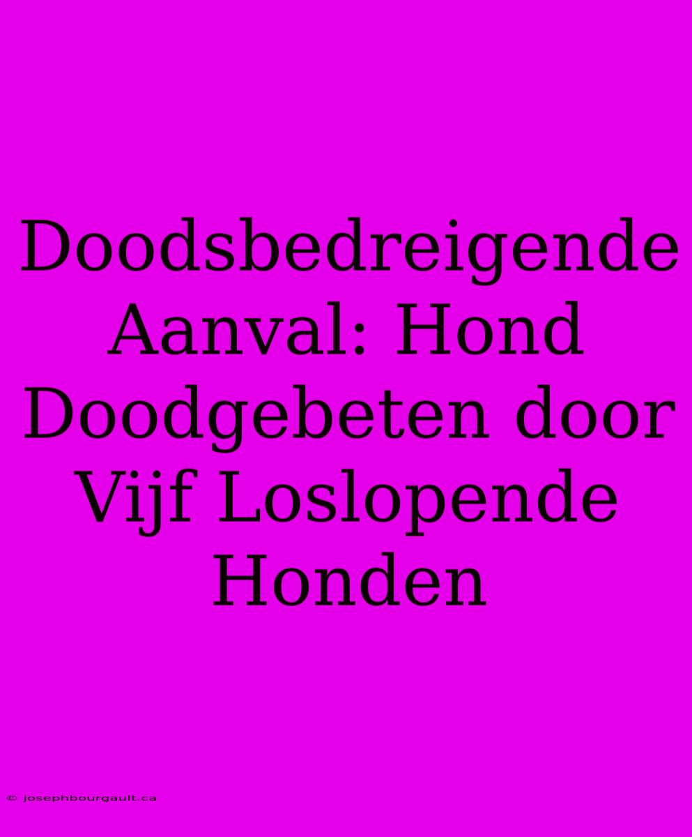 Doodsbedreigende Aanval: Hond Doodgebeten Door Vijf Loslopende Honden