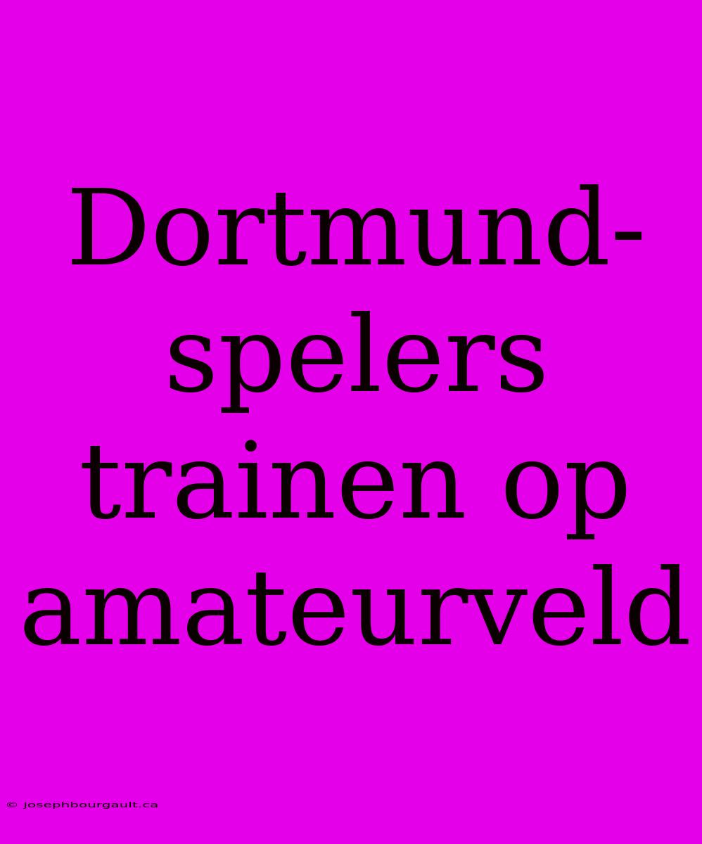 Dortmund-spelers Trainen Op Amateurveld