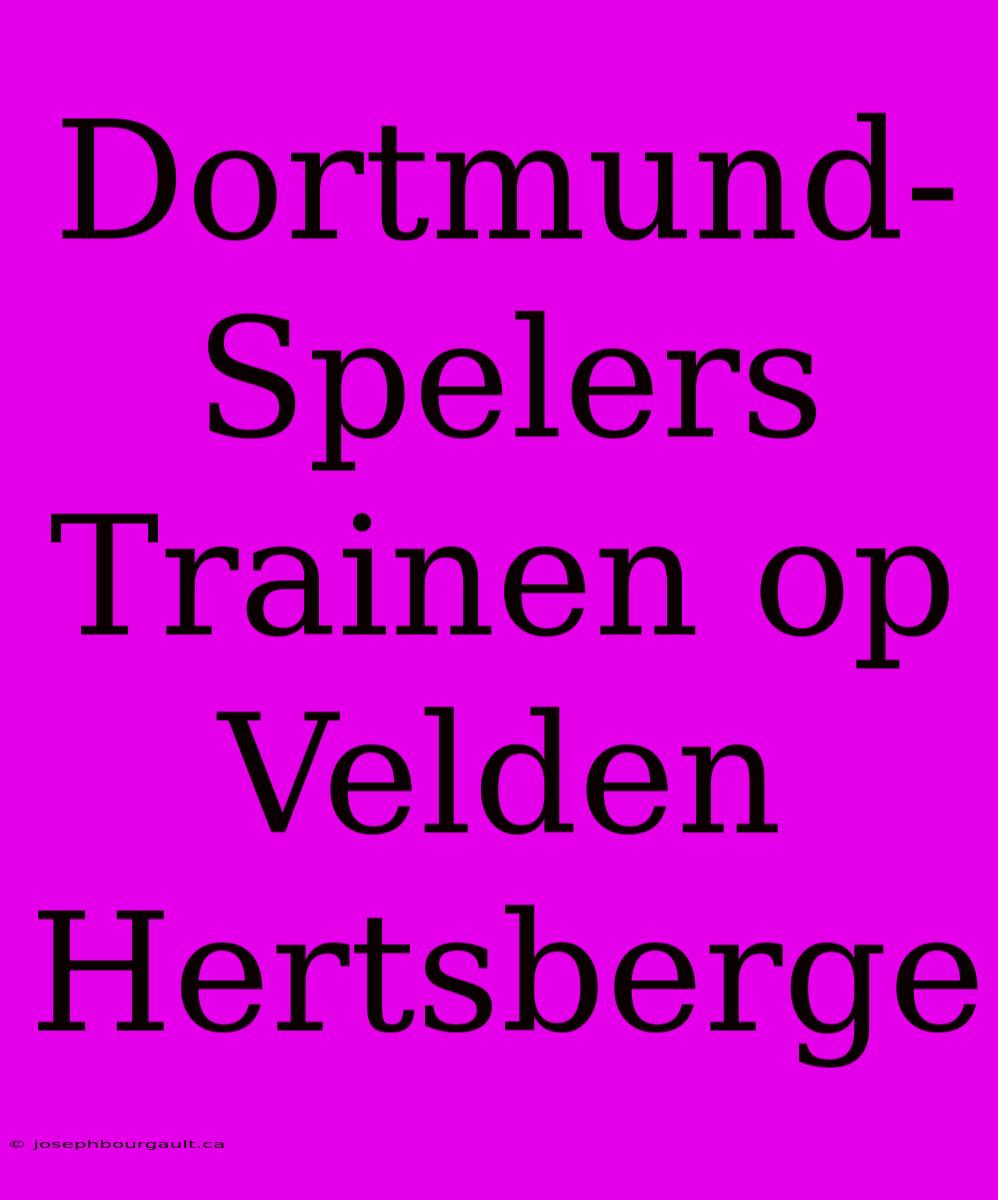 Dortmund-Spelers Trainen Op Velden Hertsberge