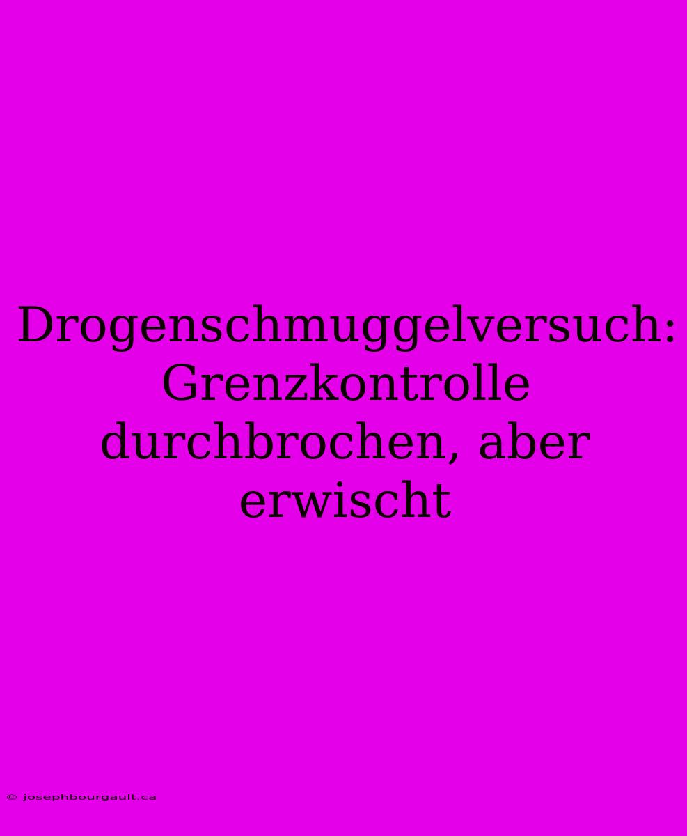 Drogenschmuggelversuch: Grenzkontrolle Durchbrochen, Aber Erwischt