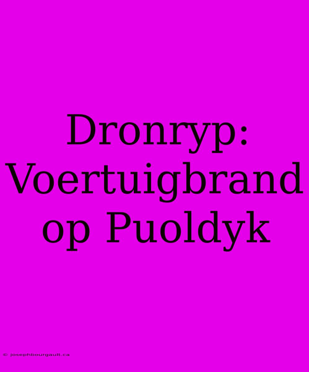 Dronryp: Voertuigbrand Op Puoldyk