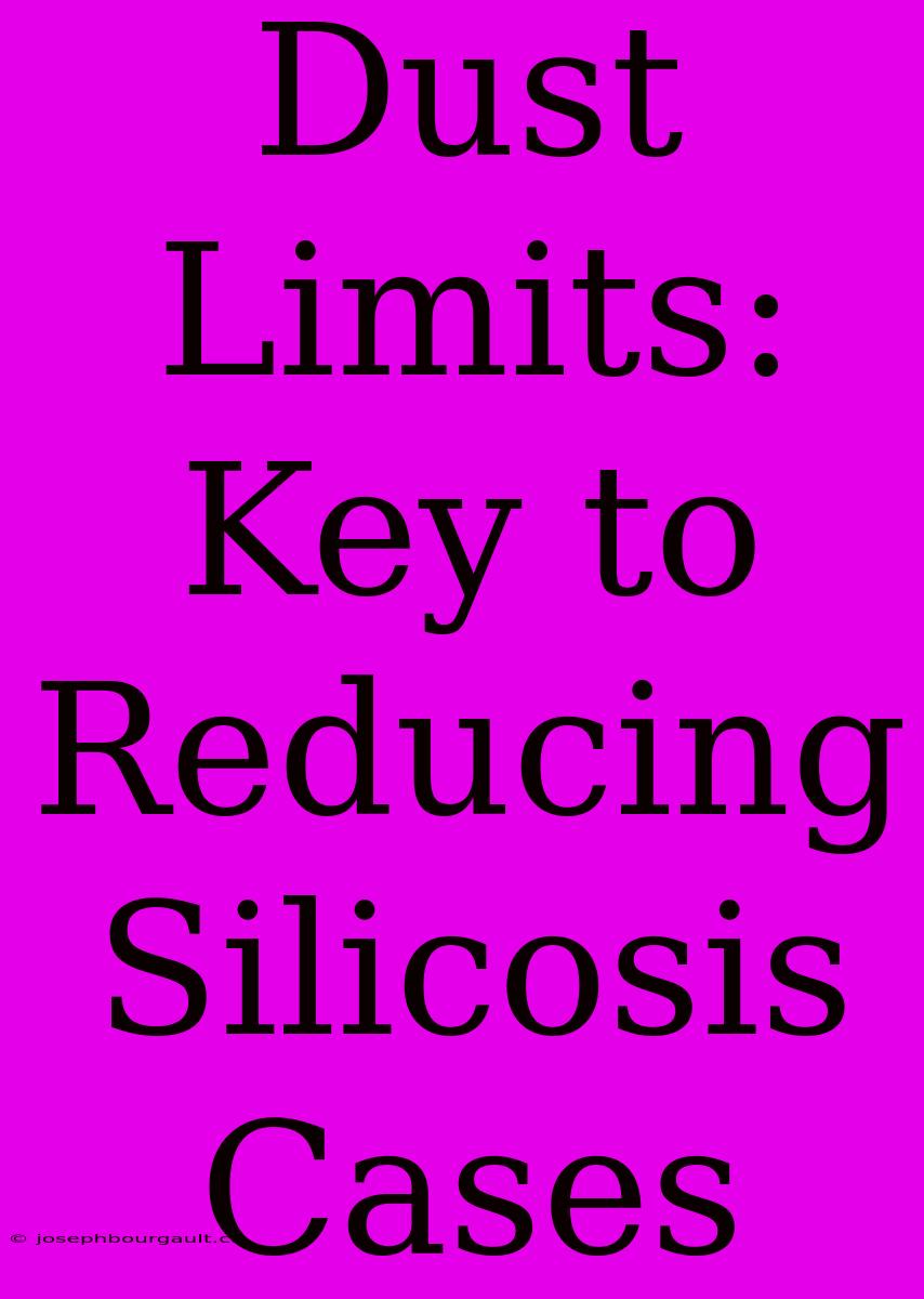 Dust Limits: Key To Reducing Silicosis Cases