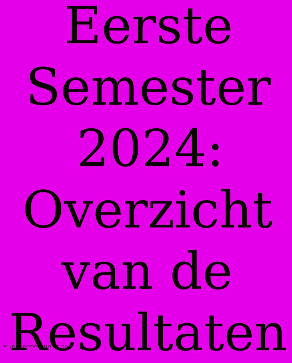 Eerste Semester 2024: Overzicht Van De Resultaten