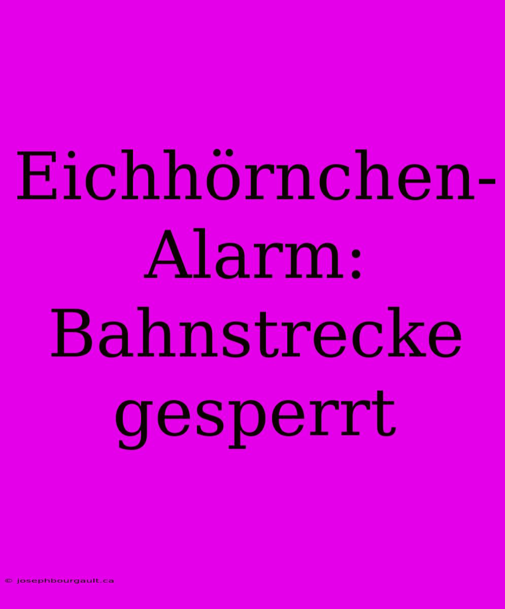 Eichhörnchen-Alarm: Bahnstrecke Gesperrt