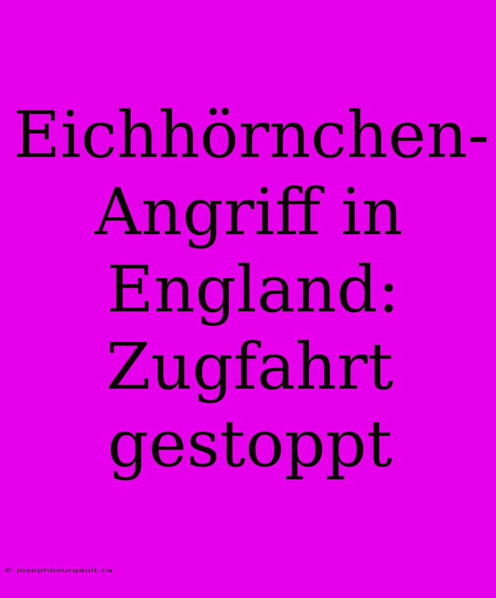 Eichhörnchen-Angriff In England: Zugfahrt Gestoppt